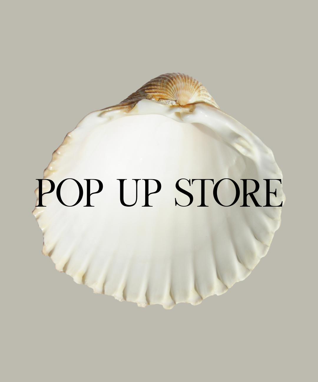 POP UP開催スケジュール