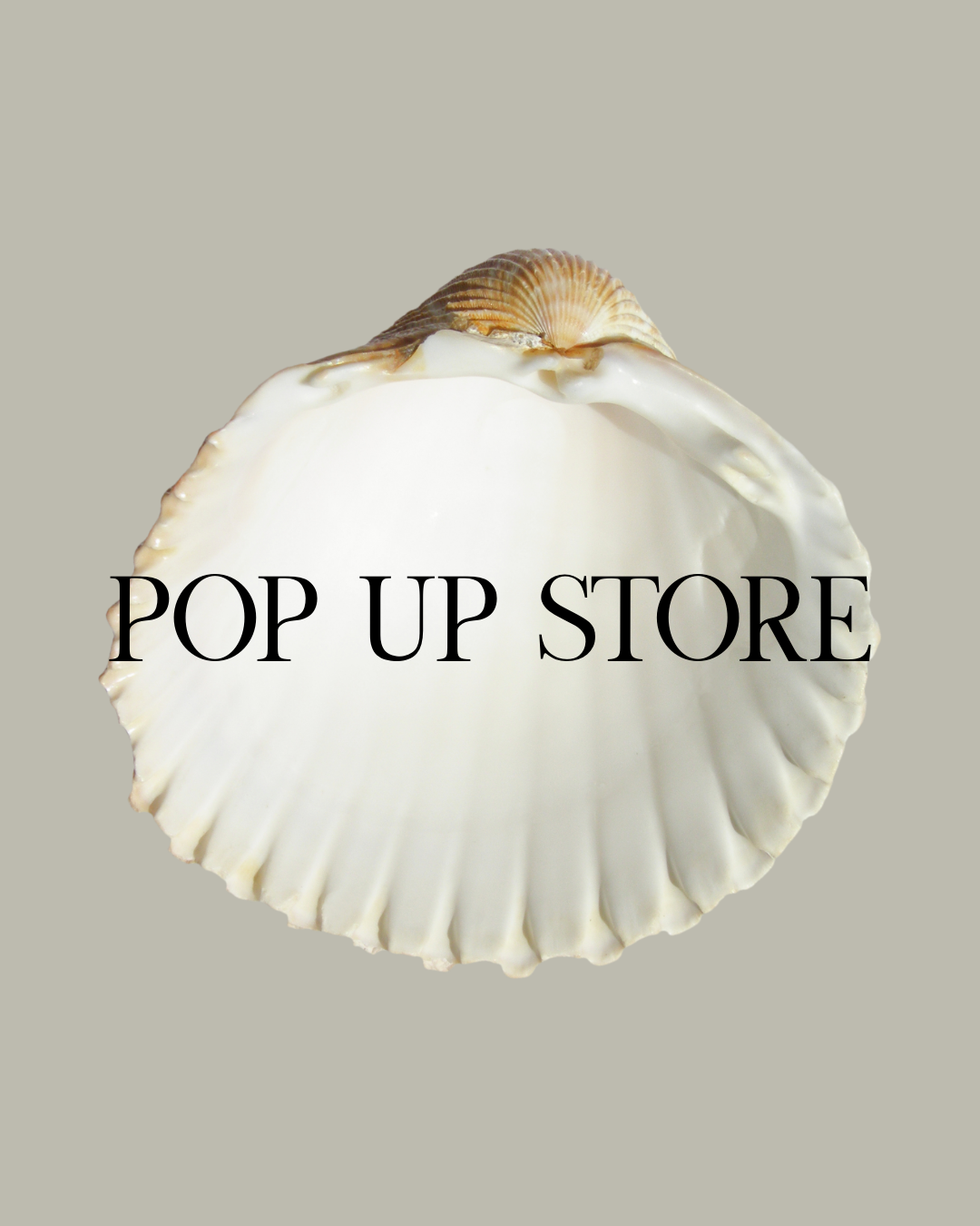 POP UP開催スケジュール