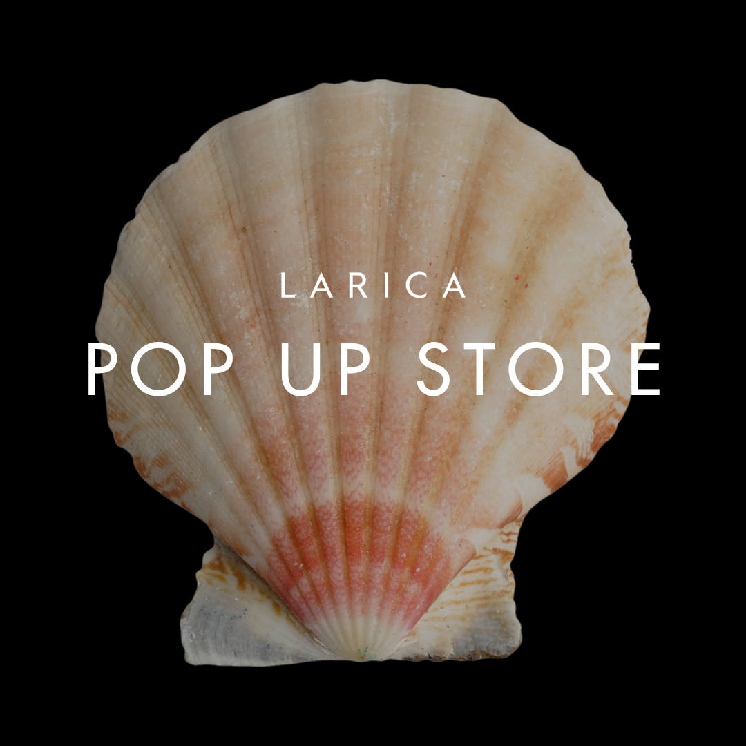 11月・12月 POP UP開催のお知らせ