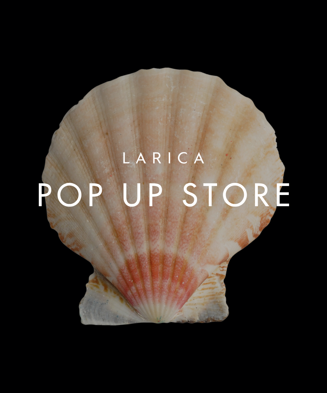 11月・12月 POP UP開催のお知らせ