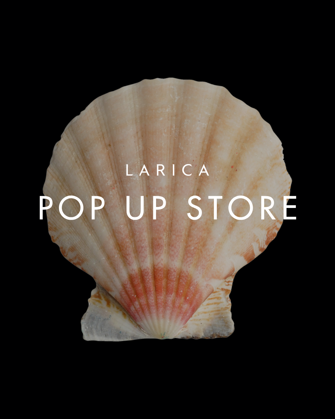 11月・12月 POP UP開催のお知らせ