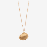 ［OCEAN］Shell Necklace